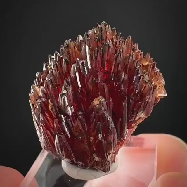 Rhodochrosite (South Africa) | natural rhodochrosite crystal, rare, mineral specimen