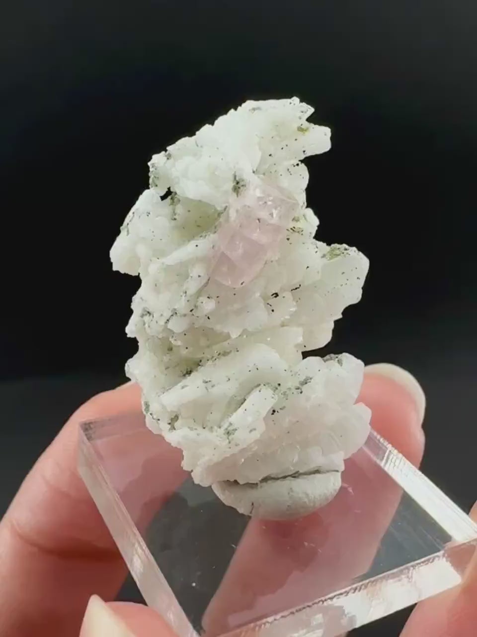 Pink Fluorapatite on Albite | UV reactive crystal, rare mineral specimen from Pakistan