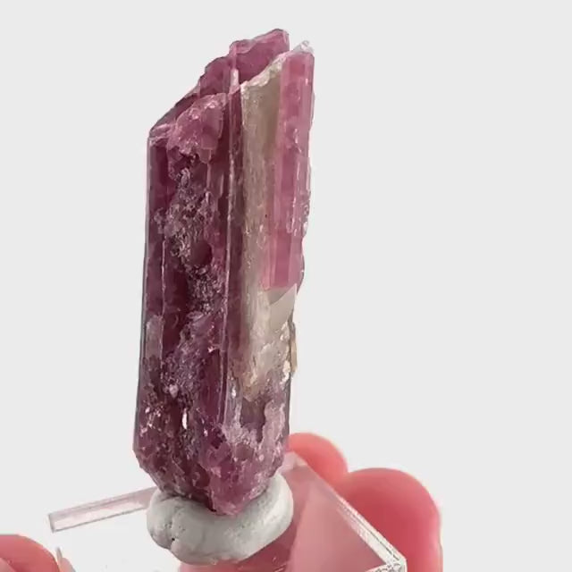 Rossmanite (Tanco Mine, Canada) | pink tourmaline crystal, rare minerals