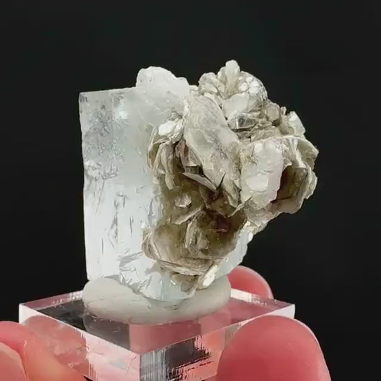 Aquamarine with Muscovite | terminated blue beryl crystal, natural mineral specimen