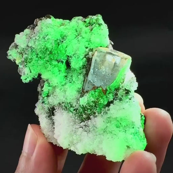 UV Reactive Hyalite Opal with Aquamarine | Fluorescent Mineral Specimen from Namibia