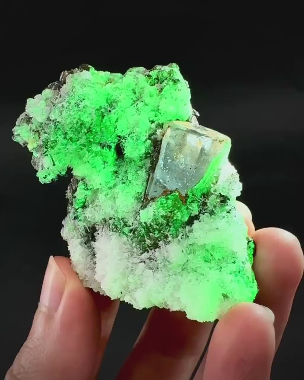 UV Reactive Hyalite Opal with Aquamarine | Fluorescent Mineral Specimen from Namibia