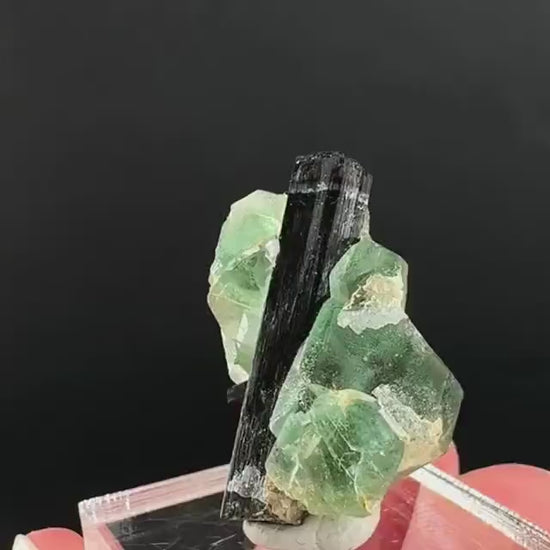 Fluorite w/ Black Tourmaline | Lollipop Pocket, green crystal, mineral specimen from Namibia