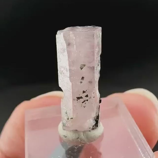 Pink Fluorapatite with Black Tourmaline | UV reactive crystal, rare mineral specimen from Pakistan