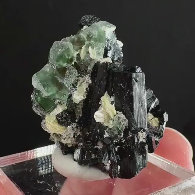 Fluorite w/ Schorl (Erongo, Namibia) | Lollipop Pocket, fluorite cluster, green fluorite, mineral specimen