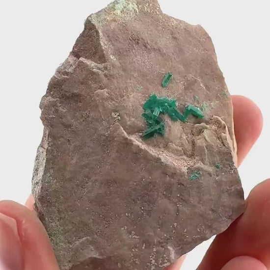 Dioptase w/ Chrysocolla (Namibia) | dioptase crystal, mineral specimen