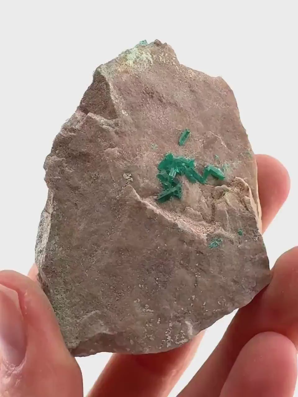 Dioptase w/ Chrysocolla (Namibia) | dioptase crystal, mineral specimen