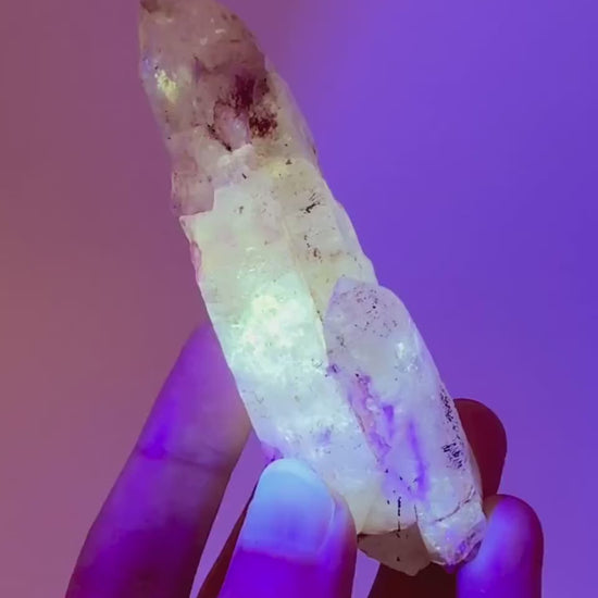 UV Reactive Petroleum Quartz Point (Madagascar) | natural petroleum quartz crystal, UV reactive crystal, enhydro quartz, firefly quartz