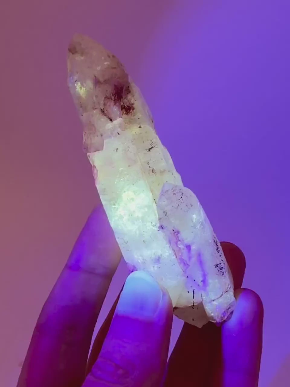 UV Reactive Petroleum Quartz Point (Madagascar) | natural petroleum quartz crystal, UV reactive crystal, enhydro quartz, firefly quartz