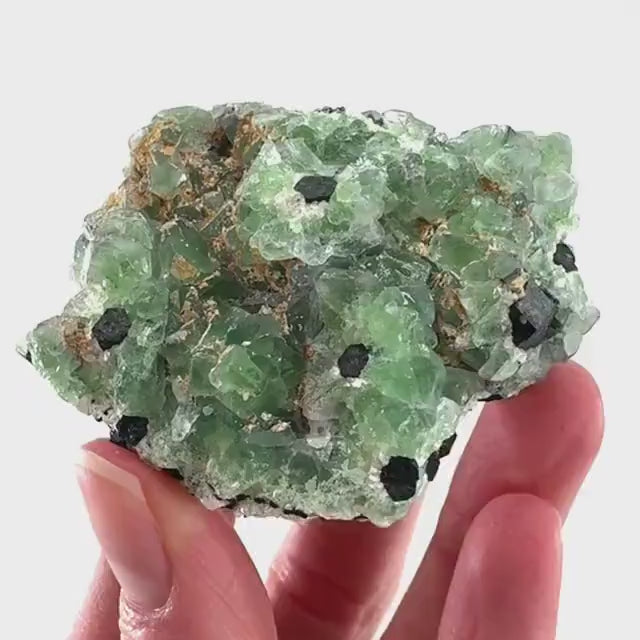 Fluorite w/ Schorl (Erongo, Namibia) | Lollipop Pocket, fluorite cluster, green fluorite, mineral specimen