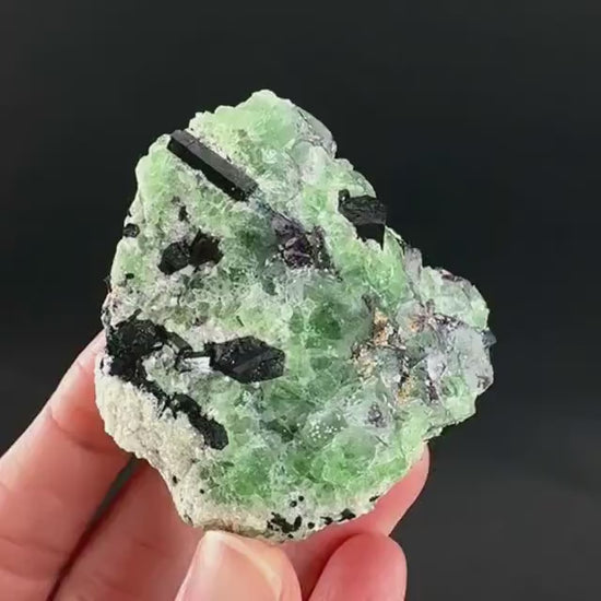 Fluorite w/ Schorl, & Muscovite | Lollipop Pocket, green crystal cluster, mineral specimen from Namibia
