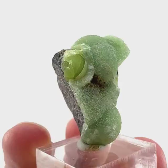 Wavellite (Arkansas, USA) | Wavellite crystal, mineral specimen