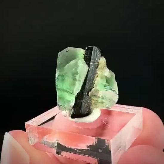 Fluorite w/ Black Tourmaline | Lollipop Pocket, green crystal, mineral specimen from Namibia