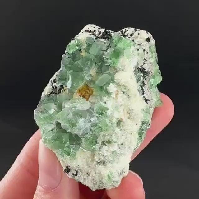 Fluorite w/ Schorl, & Muscovite | Lollipop Pocket, green crystal cluster, mineral specimen from Namibia