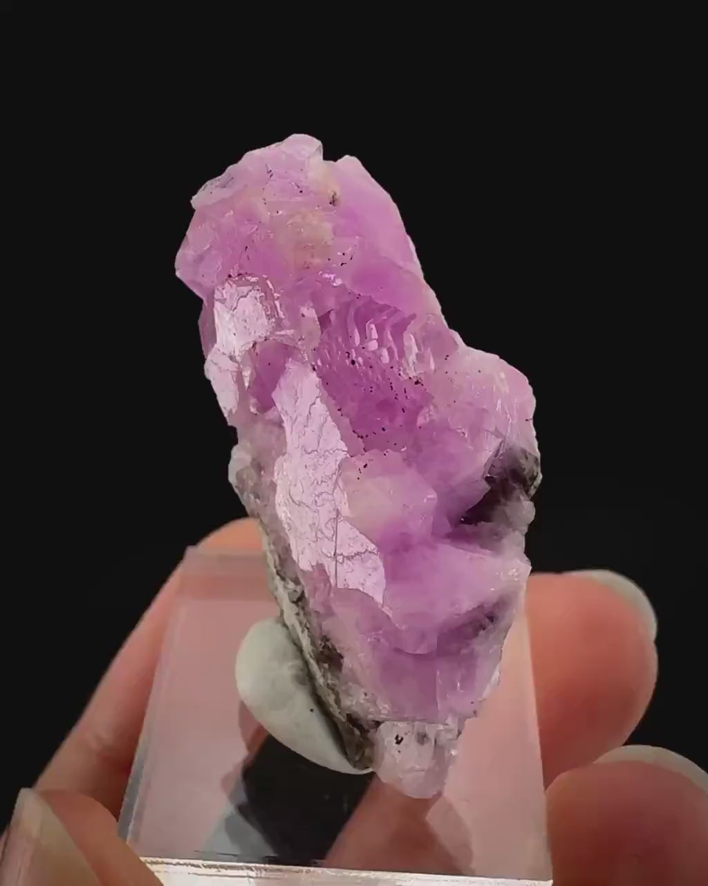 Gem Cobaltoan Calcite | translucent pink cobaltoan crystal cluster, mineral specimen