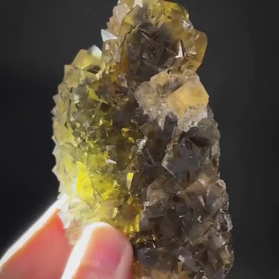 Okorusu Fluorite (Namibia) | “Honey Pocket” fluorite cluster, yellow fluorite crystal, mineral specimen