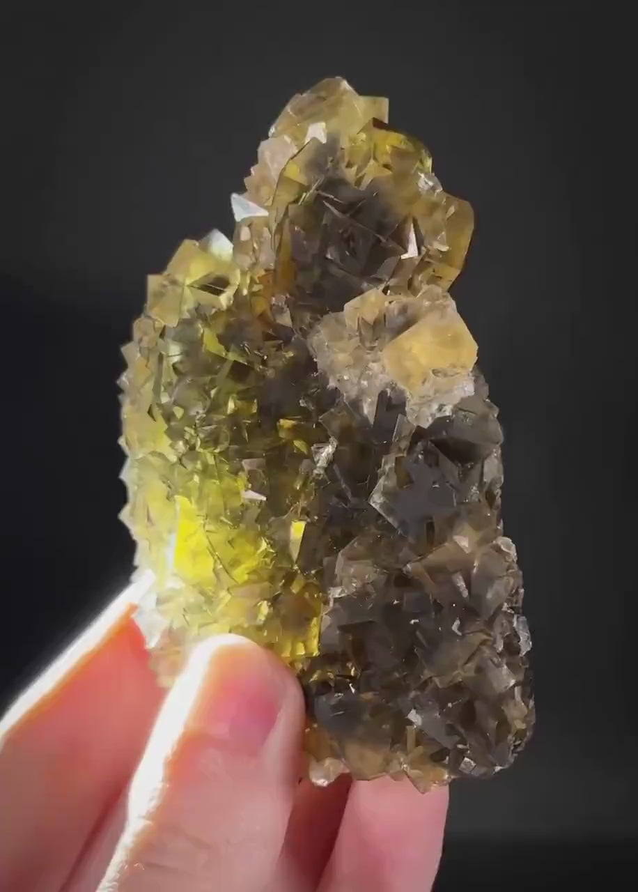 Okorusu Fluorite (Namibia) | “Honey Pocket” fluorite cluster, yellow fluorite crystal, mineral specimen