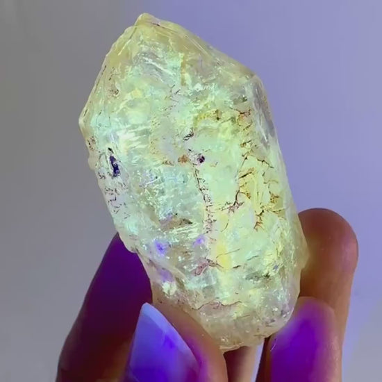 UV Reactive Petroleum Quartz (Madagascar) | natural firefly petroleum quartz crystal, fluorescent minerals