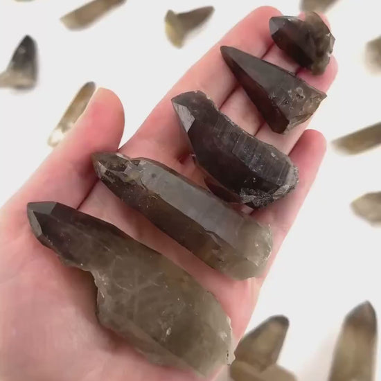 ONE Smoky Quartz Point (Namibia) | natural smoky quartz point, smoky quartz crystal