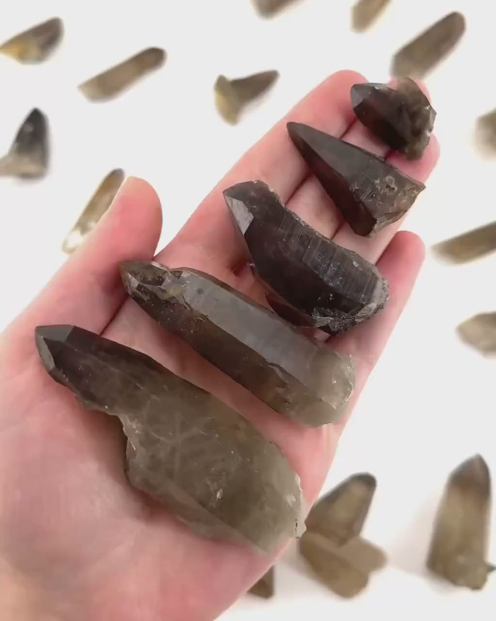 ONE Smoky Quartz Point (Namibia) | natural smoky quartz point, smoky quartz crystal