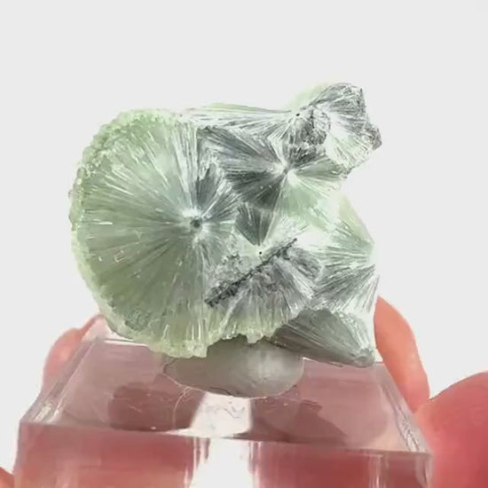 Wavellite (Arkansas, USA) | Wavellite crystal, wavellite cluster, mineral specimen, crystals