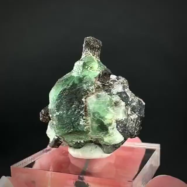 Fluorite w/ Black Tourmaline | Lollipop Pocket, green crystal, mineral specimen from Namibia