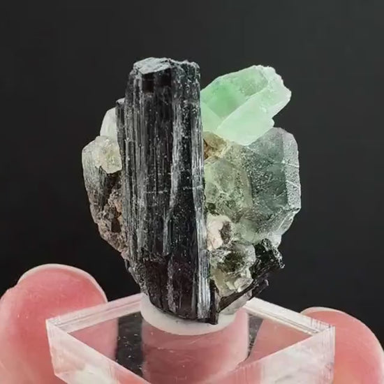 Fluorite w/ Schorl (Erongo, Namibia) | Lollipop Pocket, fluorite cluster, green fluorite, mineral specimen