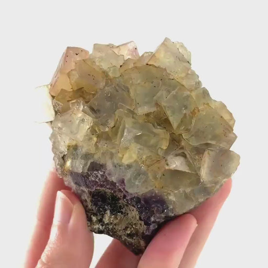 Okorusu Fluorite | yellow & purple crystal cluster, mineral specimen from Namibia