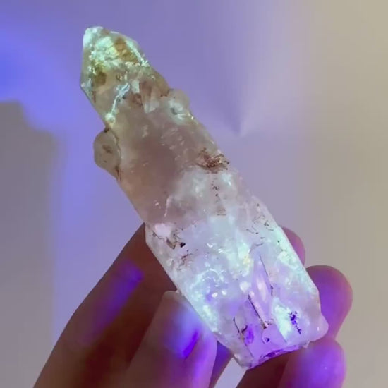 Firefly Petroleum Quartz | UV reactive crystal, fluorescent mineral from Madagascar
