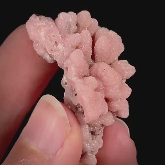 Rhodochrosite (South Africa) | natural rhodochrosite crystal, rare, mineral specimen