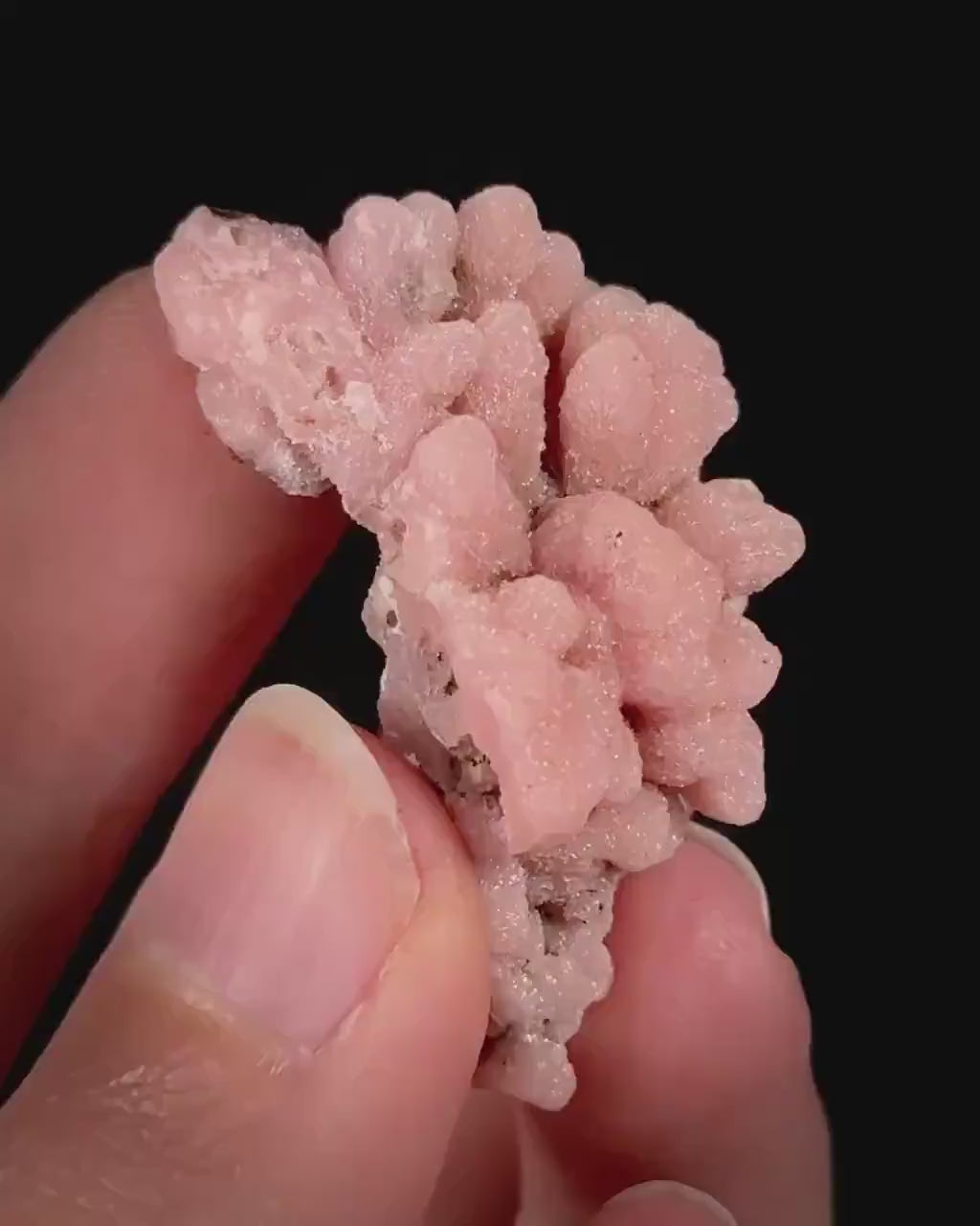 Rhodochrosite (South Africa) | natural rhodochrosite crystal, rare, mineral specimen