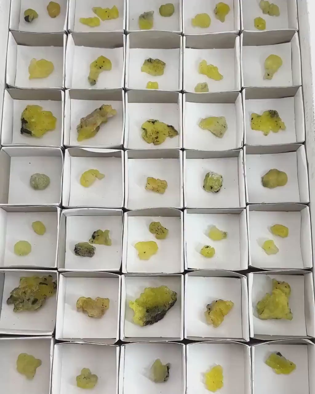 47pcs Yellow Brucite Wholesale | yellow brucite specimen, raw brucite, yellow brucite crystal, wholesale crystals, bulk crystals