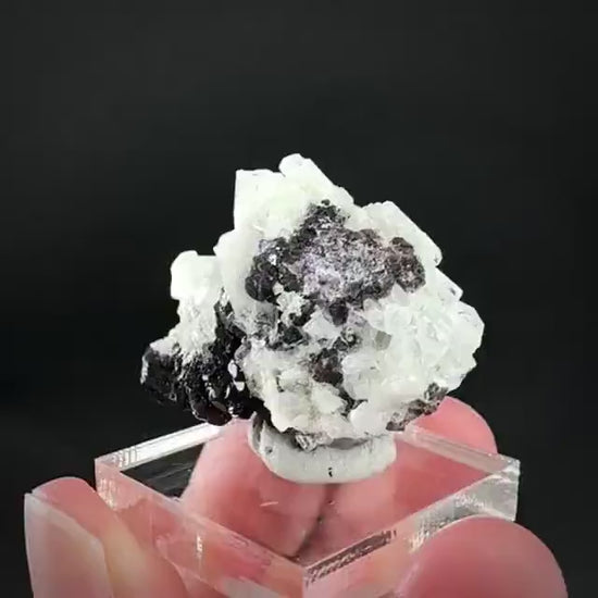 Beryl var. Goshenite with Fluorite | natural crystal cluster, mineral specimen from Namibia