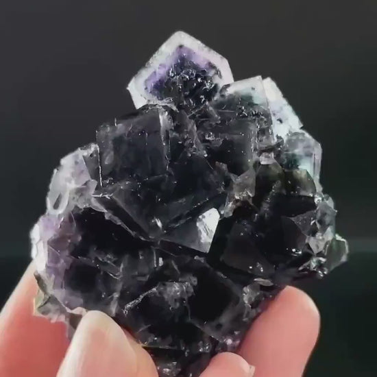 Okorusu Phantom Fluorite (Namibia) | cubic fluorite, purple fluorite, crystals, mineral specimen
