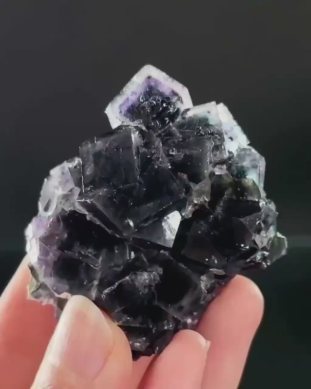 Okorusu Phantom Fluorite (Namibia) | cubic fluorite, purple fluorite, crystals, mineral specimen