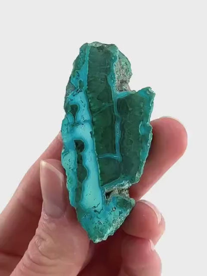 Malachite & Chrysocolla Slice | Polished Malacolla Crystal Slab