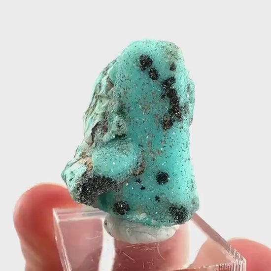 Chrysocolla Pseudomorph after Azurite (DR Congo) | blue chrysocolla crystal, mineral specimen