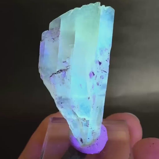 Golden Selenite Blade | Fluorescent UV Reactive Gypsum Crystal