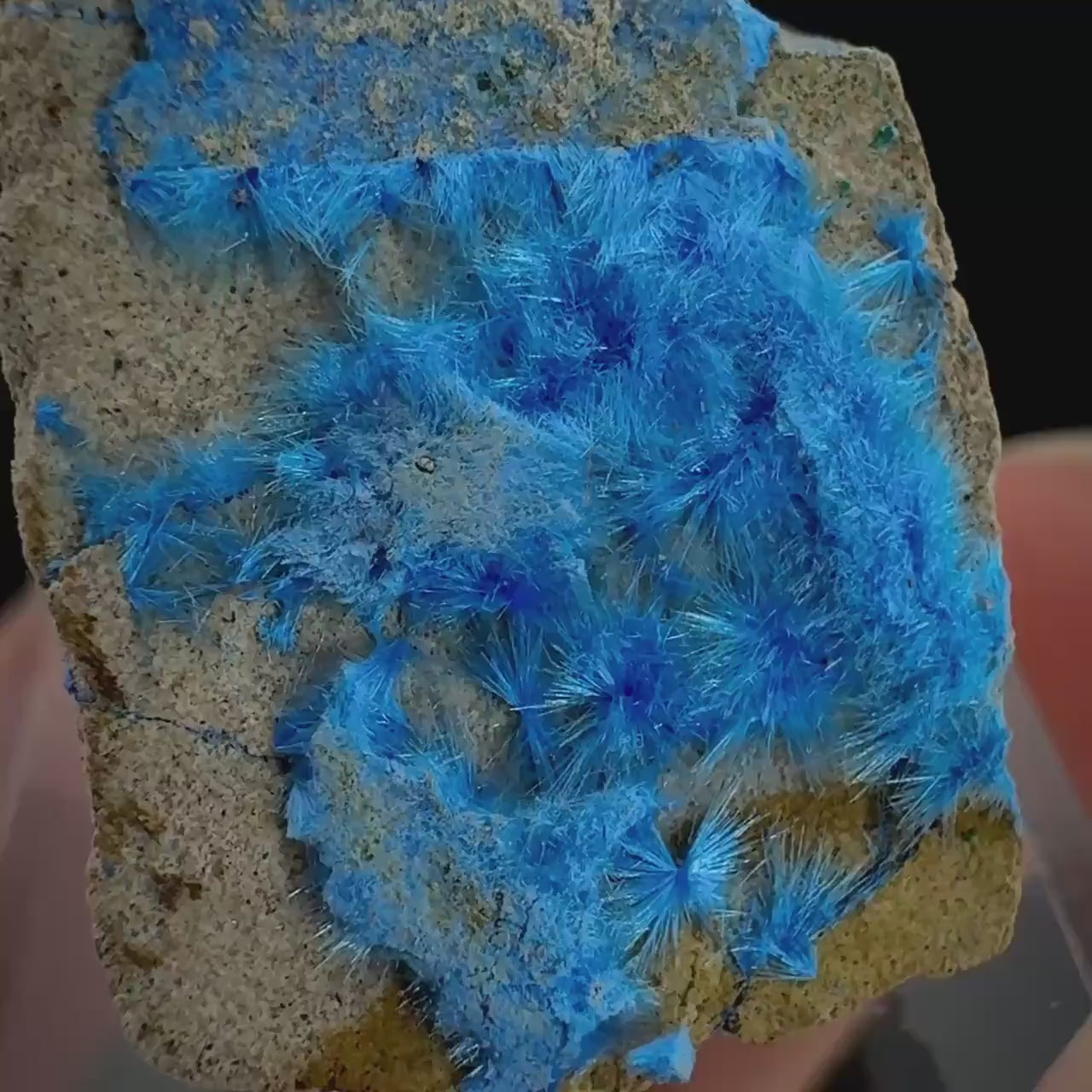 Cyanotrichite | fuzzy blue crystal, rare mineral specimen from Chile