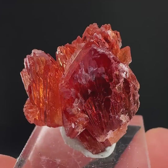 Rhodochrosite (South Africa) | natural rhodochrosite crystal, rare, mineral specimen