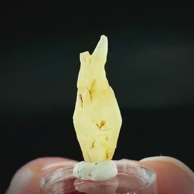 Ceylon Sapphire | natural yellow crystal, uncut raw sapphire, mineral specimen from Sri Lanka
