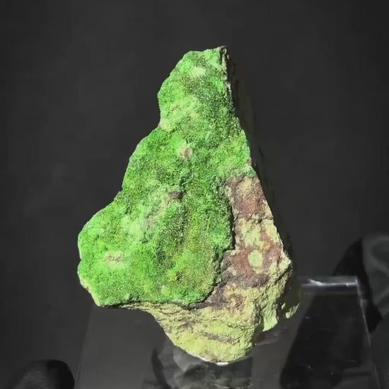 Cuprosklodowskite | rare mineral specimen from DR Congo