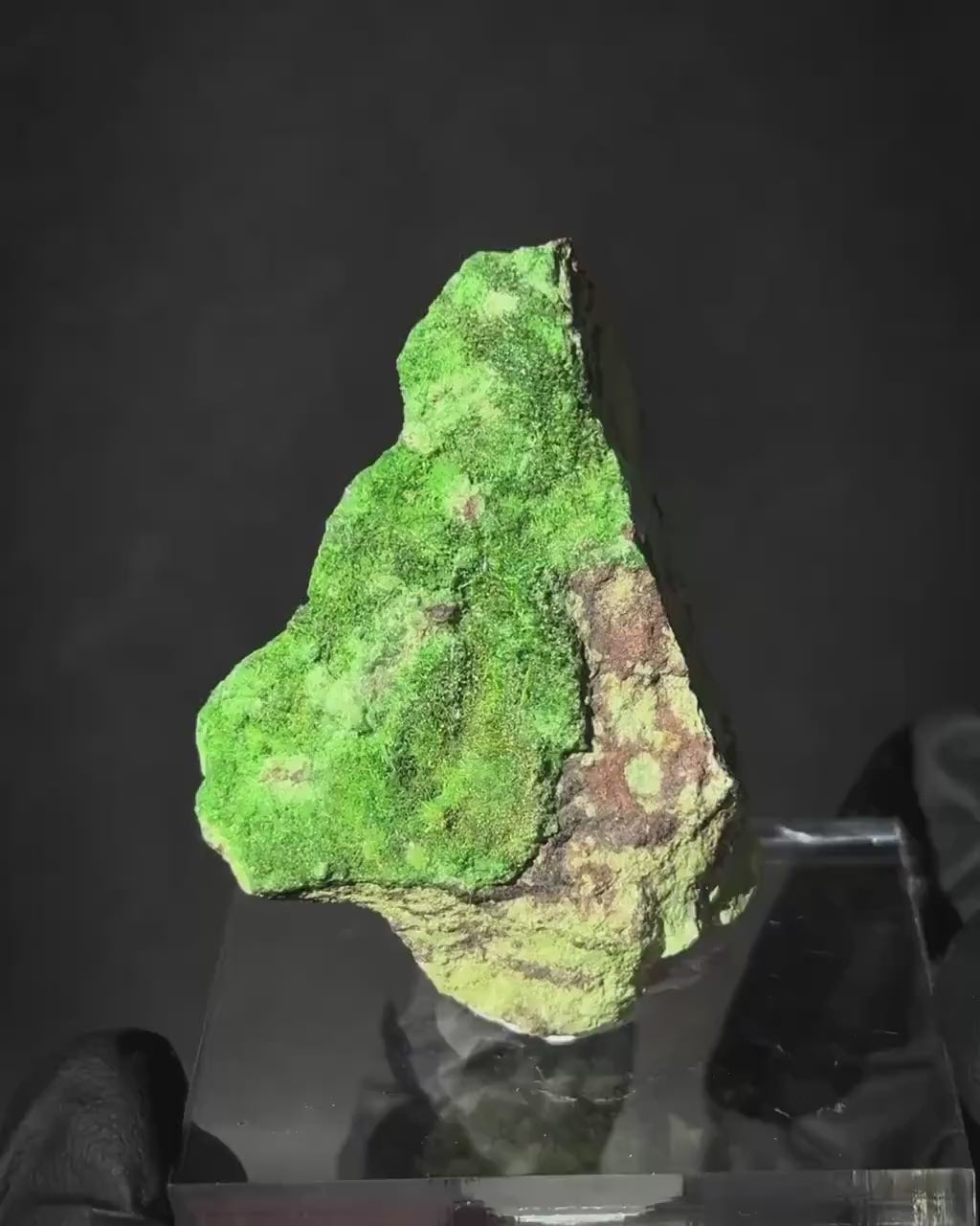 Cuprosklodowskite | rare mineral specimen from DR Congo