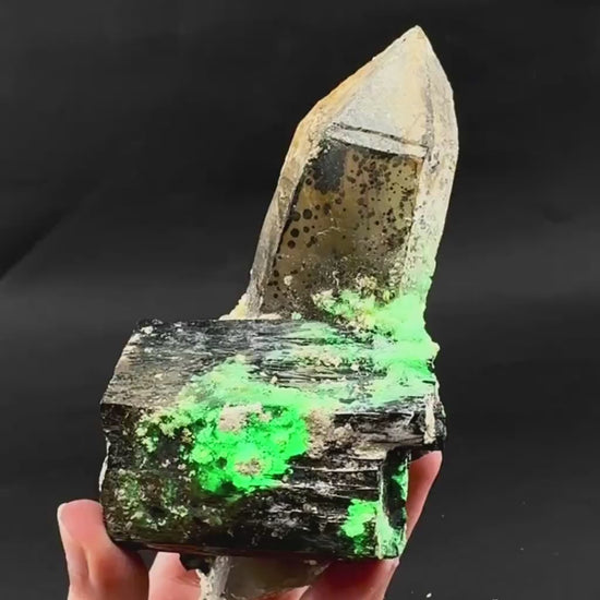 UV Reactive Hyalite Opal w/ Smoky Quartz & Black Tourmaline | Fluorescent Mineral Specimen from Namibia