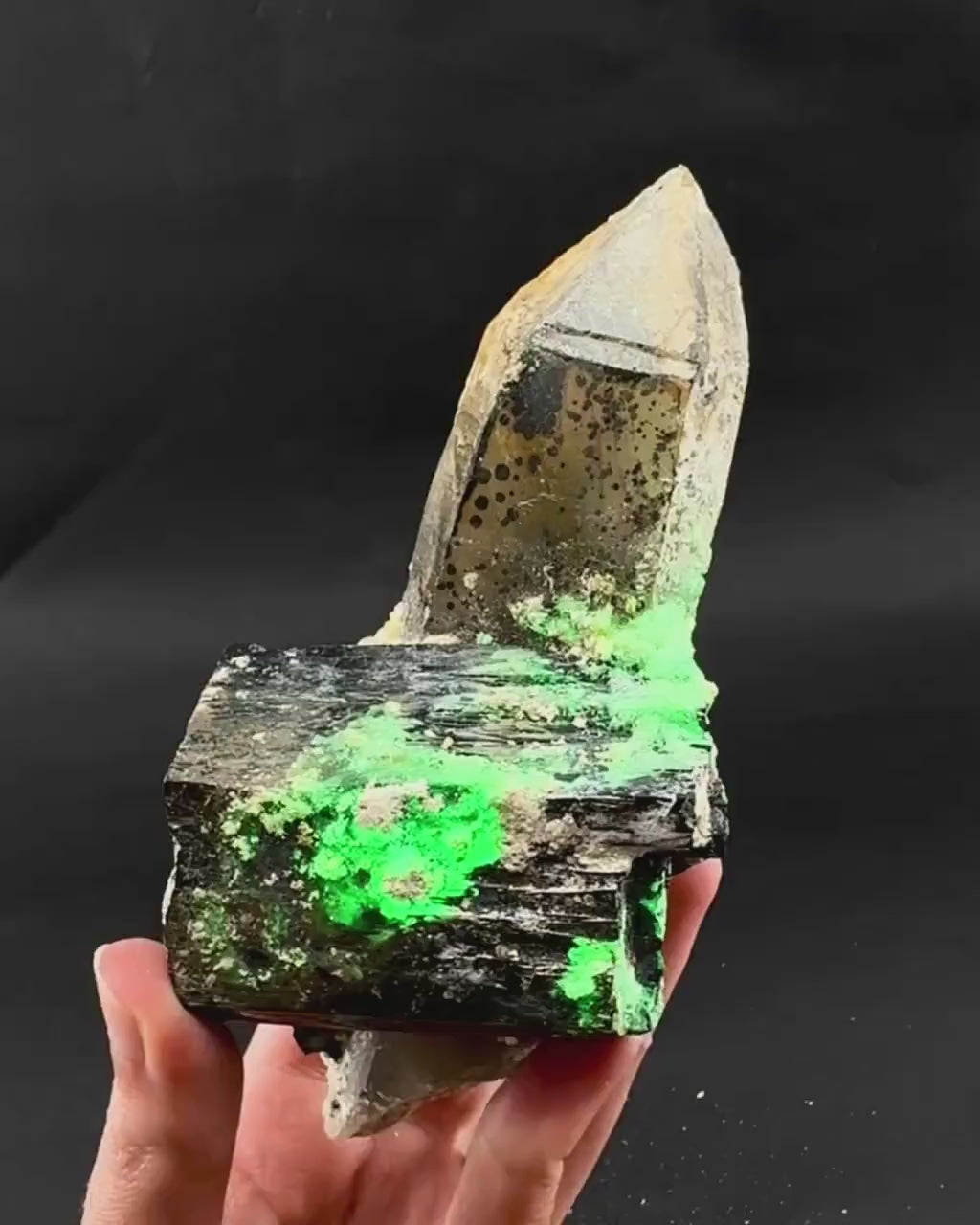 UV Reactive Hyalite Opal w/ Smoky Quartz & Black Tourmaline | Fluorescent Mineral Specimen from Namibia
