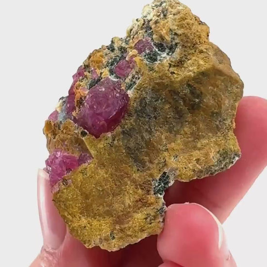 Ruby & Blue Kyanite on Matrix | genuine raw red ruby crystal, natural mineral specimen