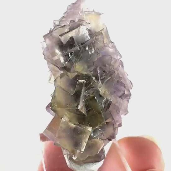 Okorusu Fluorite (Namibia) | “Honey Pocket” fluorite cluster, yellow fluorite crystal, mineral specimen