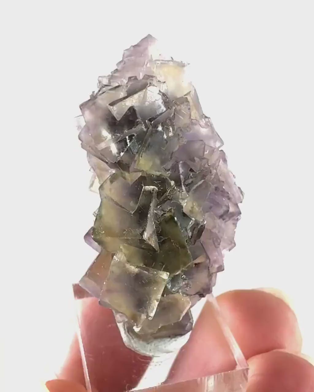 Okorusu Fluorite (Namibia) | “Honey Pocket” fluorite cluster, yellow fluorite crystal, mineral specimen