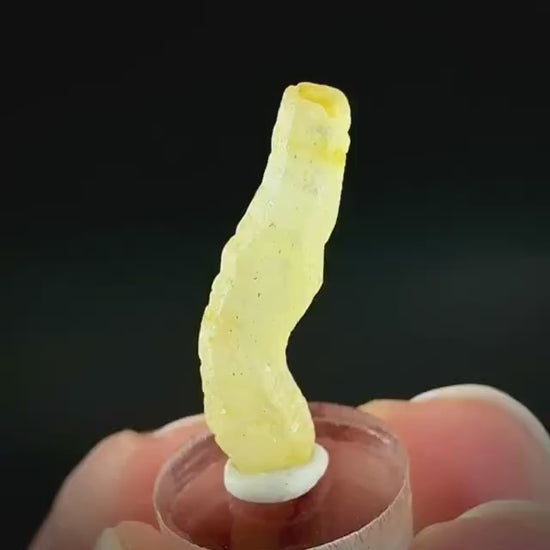 Ceylon Sapphire | natural yellow crystal, uncut raw sapphire, mineral specimen from Sri Lanka