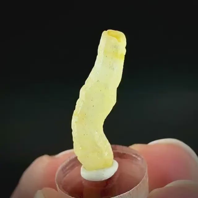Ceylon Sapphire | natural yellow crystal, uncut raw sapphire, mineral specimen from Sri Lanka